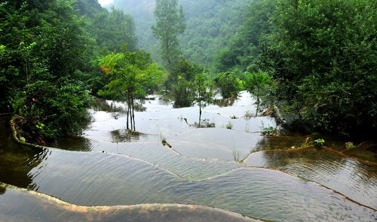 泡打粉